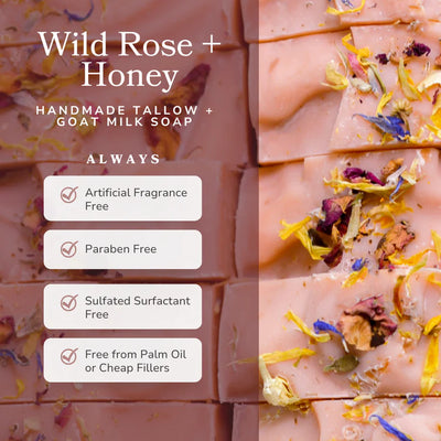 Wild Rose + Honey | Tallow and Goat Milk Soap Bar