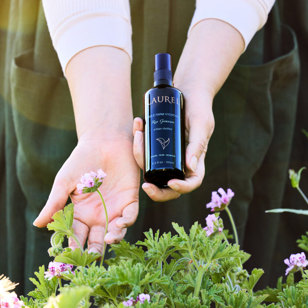 Rose Geranium - Single Farm Hydrosol