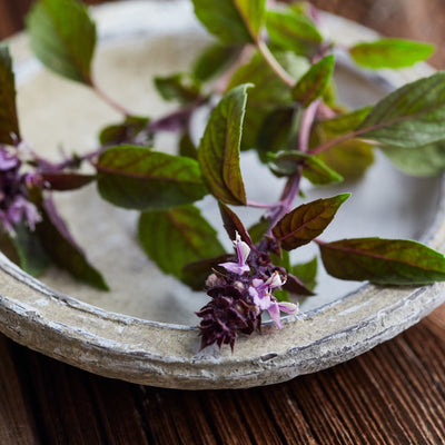 Tulsi Rose Hydrosol - Winter Elixir