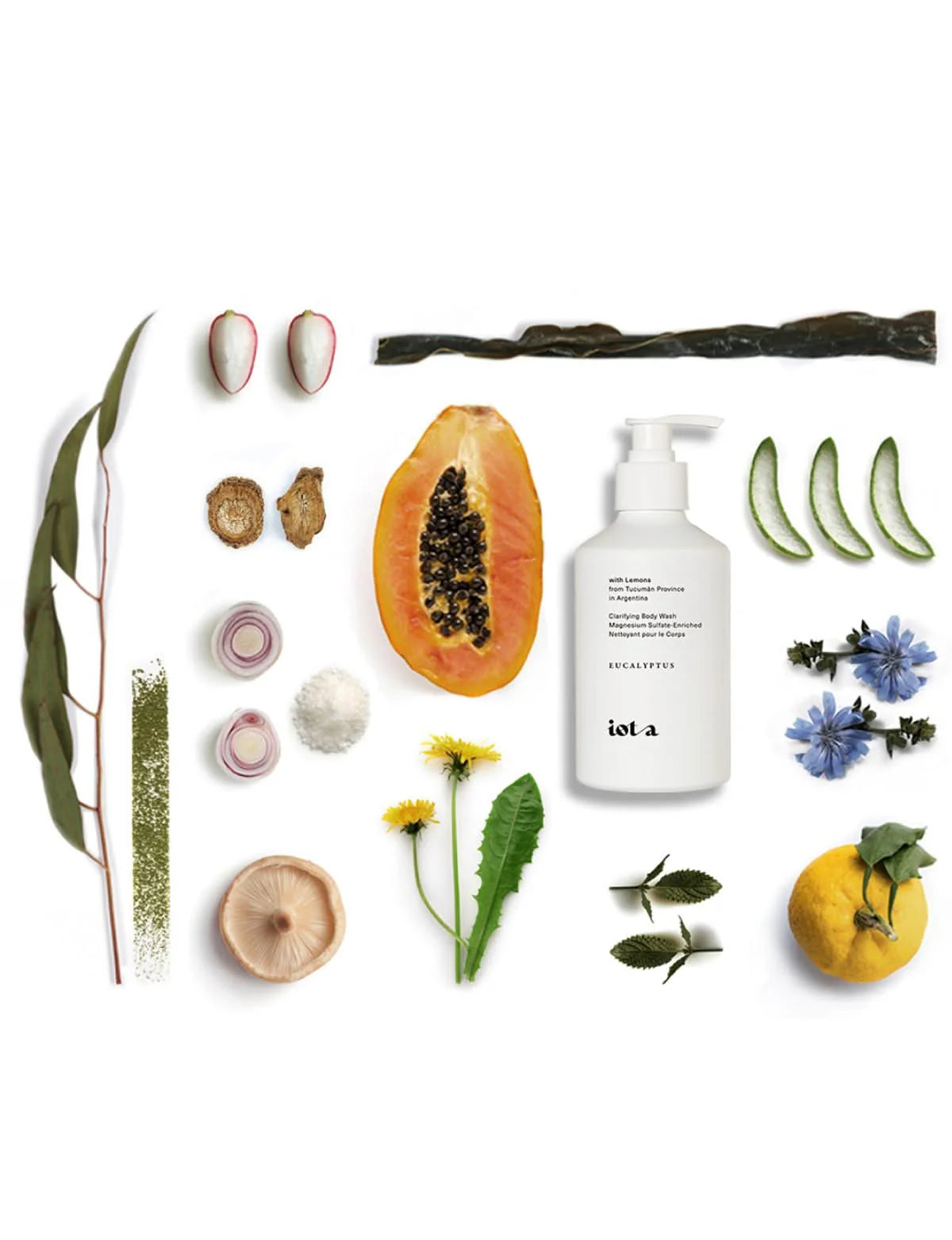 Supervitamin Body Wash⁺ | Clarifying